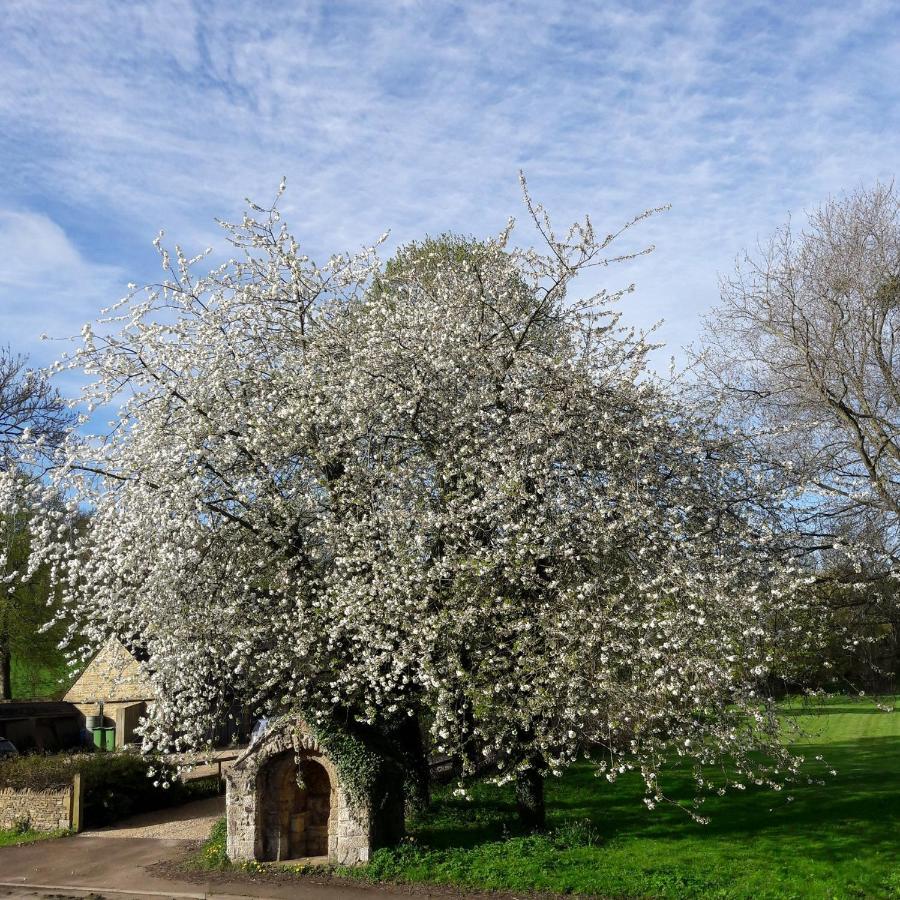 Wayside House B&B Whichford Buitenkant foto